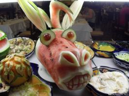 Ослики в нашей жизни