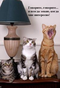 Бабушка и банкомат