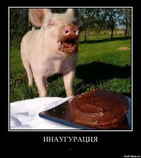 Счастливые моменты