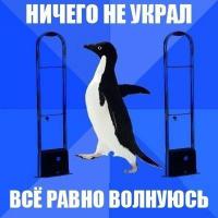 Фишкина солянка за 26.11.2014 