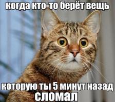 Фишкина солянка за 26.11.2014 