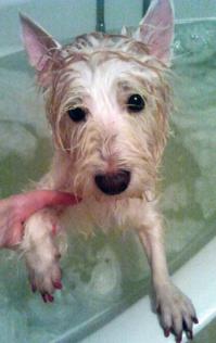 ВОТ ЭТО глаза)))