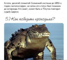 так вот куда этот чувак собрался... птичка дело говорит))) всегда носи с собой скотч, мало ли, крокодила встретишь)