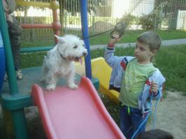 Берегите своих четвероногих от детей)))