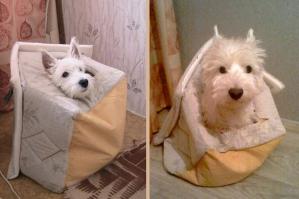 Кажется уже постила это фото в похожей теме, но всё же не могу не поделиться моим пёсиком)))

Грымас: 6 месяцев и 6 лет
Спустя года привычки не меняются)))