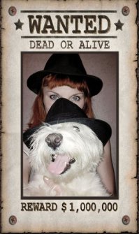 А вот мы бандиты)))