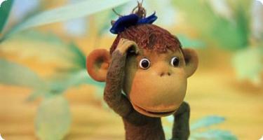 Американка попала на баскетбольный матч в Европе 