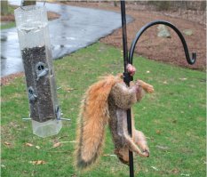 Это еще лёгкий вариант. Бывало и похуже