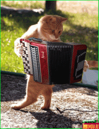 100500 раз эти фотки видела, хочется такого же классного, но поновее