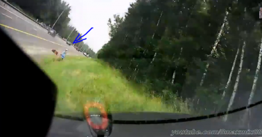 Эх красота то какая! Лето, трава, бабушка какаято по среди "дороги"...