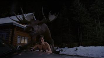 Ну у них в Америке и не такое бывает:)