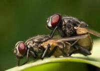 А теперь немного порно