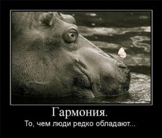 Когда старшая ходила в сад, то в группе с ней ходил мальчонка, мать которого родила 4-х за 5 лет. Придя за своим старшим в сад через месяц после родов, она выгдядела как 13-летний подросток - если не знаешь никогда не скажешь что эта девочка 28 летняя уже мать 4-х детей, младшему из которых чуть меньше месяца - на ней ни грамма жира, ни одной растяжки, да и живота послеродового вообще не было. Вот это повезло так повезло с генетикой.

Ну а большинство женщин имеет склонность к набору веса, заложенного природой для полноценного кормления детей. Иногда природа дает сбой и вес набирается больше нужного. Но если принимать мир таким какой он есть со всеми его несовершенствами, то и жить станет приятней. Дело ведь не в том как женщина выглядит после родов, дело в той гармонии, которая делает нас счастливыми. Можно быть полнушечкой с 3-мя детьми и быть самой счастливой, а можно иметь прекрасное тело, богатого мужа и офигенское желание сделать себя красивой и все равно каждую минуту своей жизни быть всем вечно недовольной и чувствовать себя по вселенски несчастной, приговаривая - фу как так можно, это же некрасиво.

Я сама после родов набрала 25 кг, чувствую легкий дискомфорт от лишнего веса, но никогда не променяю последние свои 8 лет жизни на ту прежнюю себя. Порванное нутро после родов зажило на 5 день, боль от потрескавшихся сосков прошла на 3-ий, ужасы недоспанных ночей иногда всплывают, но НИКОГДА я не отдам своих детей и не променяю эту нескончаемую нирвану от мысли - я мама! на какие-то там земные блага в виде подтянутого живота без растяжек.