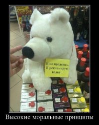 Демотиваторы