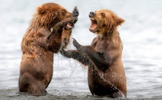 - Черный цвет?
- Цвет!
- Белый цвет?
- Цвет!
- Ну вот я же говорю, что продал тебе цветной телевизор.
- Петрович, ты мне мозг не пудри - это черно-белый телевизор!
- Я а говорю цветной.