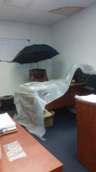 — В моем кабинете все еще идет дождь. Уже два дня!
— Ну так купите зонтик!

Гарри Поттер. Дары смерти. Часть 1 ))))