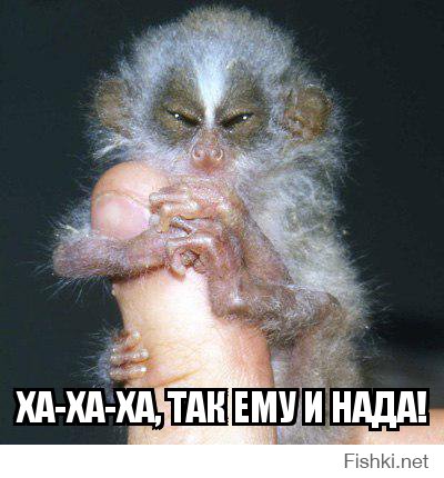 Открытое письмо Админам FISHKI.net