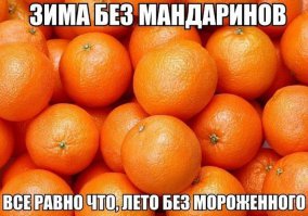 Мне одному показались мандарины подозрительно апельсиноподобными или я просто привык к овальным и приплюснутым?