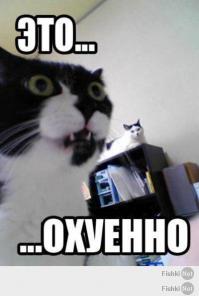 В Китае обнаружили огромную пещеру с собственным климатом и облаками