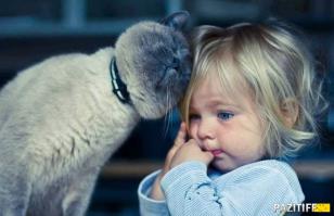 Дети и кошки