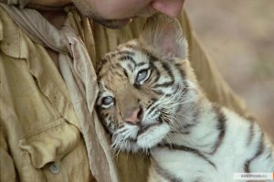 Отдохнем от политики и иностранщины... КотоПост!