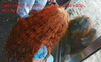 Пойманные моменты
