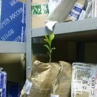 Почта России - не самое худшее, что есть на этой самой почте