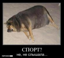 Мотивация к занятиям спортом 