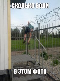 Это был не их день! 