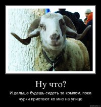 Перевозка баранов!! всем рекомендую 100% 