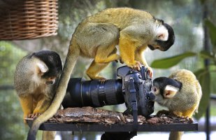  Лучший обзор фотоаппарата