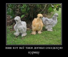 Страшный случай в деревне 