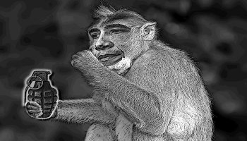 Небанальное фото