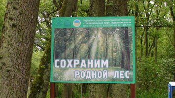 Не трать деревья на всякую <span style='color:gray'>[мат]</span> Н Ю !