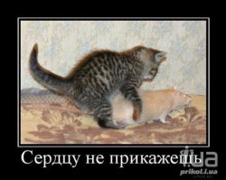 Влюбленные парочки из социальных сетей