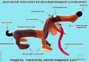 Мобильный кот атакует