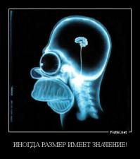 Солянка для Майдана. Часть 47