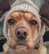 Роза Марковна, регистратура в поликлинике № 128