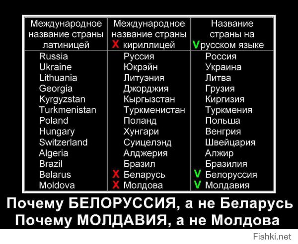 МЧС Беларуси сняли ролик о нетрезвых купальщиках в лучших традиция