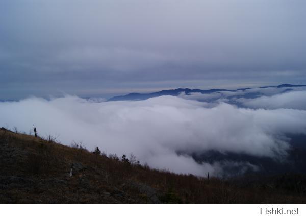 Никогда не летал на самолете,но над облаками периодически бываем с женой)