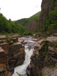 вдп. Дивный в национальном парке "Зов тигра", самый водоносный в крае