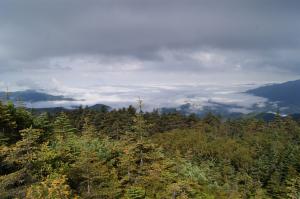 на утро после вечерней грозы на г.Лысая в Приморье. У них красиво,а у нас красивее)