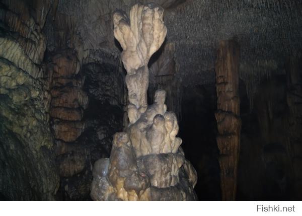 каменный цветок в Мокрушинской пещере в крае