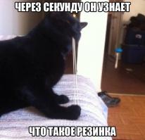 Картинки со смешными подписями