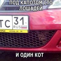 Подборка автоприколов. Часть 168