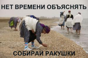 Замок из ракушек