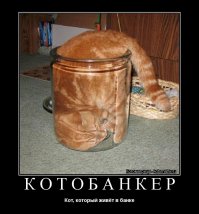 Креативный домик для домашнего питомца