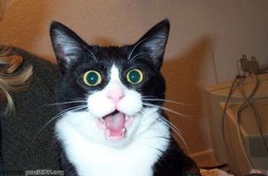 Лицо соседа по гаражу, когда вместо машины выезжает танк)