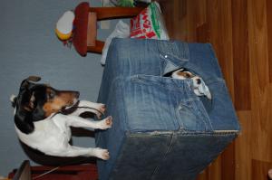 Что можно сделать из старых джинсов  