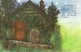 По вечерам Ёжик ходил к Медвежонку в гости считать звёзды. Они усаживались на брёвнышке и, прихлёбывая чай, смотрели на звездное небо. Оно висело над крышей, прямо за печной трубой. Справа от трубы были звёзды Медвежонка, а слева — Ёжика.
Порой просто возникает вопрос «Люди вы, что там курите, что такие потрясающие вещи лезут вам в голову?». Многие наши мультфильмы того времени — детища психоделики и хочется гордиться, что в России тогда дети смотрели умные философские мультфильмы, пусть и не совсем понимали истинный смысл (хотя, может ни кто и не задумывался о философии, все получилось само собой). 

«Ежик в тумане» создавался на века. У ребенка он вызывает восхищение или интригует, но когда этот ребенок вырастает и смотрит мультфильм в очередной раз, то тут уже задумываешься о философии, о том, что Ежик и Медвежонок, их звезды и Лошадка нечто больше чем просто анимация. 

Печально, что перестали делать такие мультфильмы. Наверное, наши мультипликаторы потеряли какое-то волшебство. А этот мультфильм действительно волшебный…